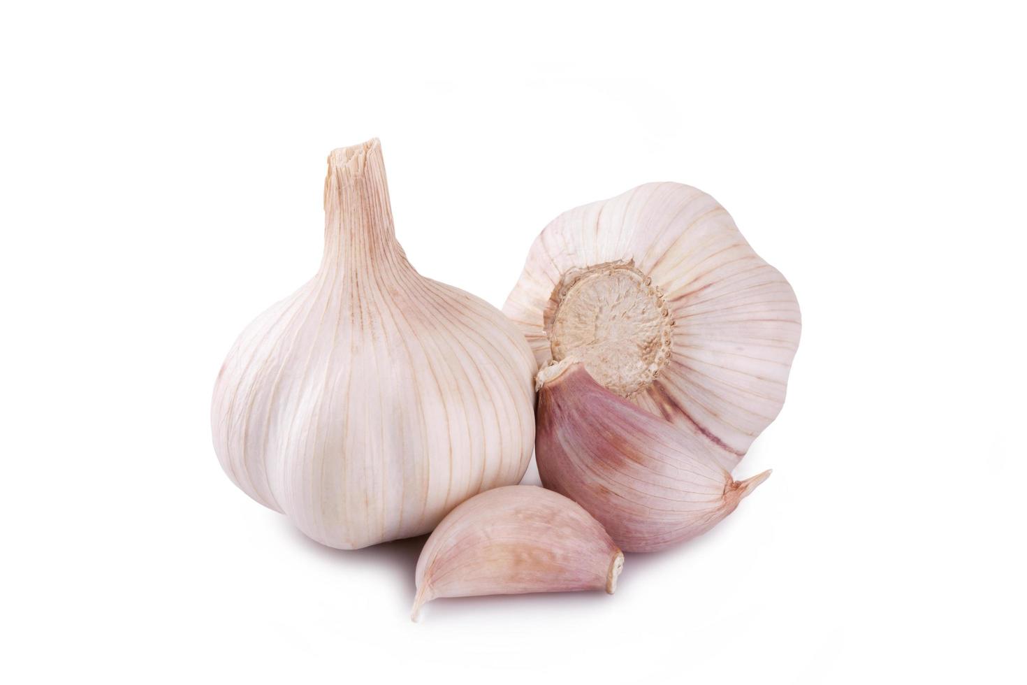 garlic on white background photo