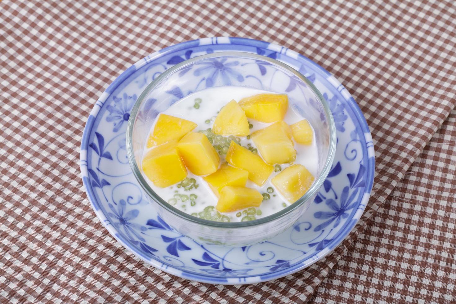 Thai dessert of sago with coconut milk and mango photo