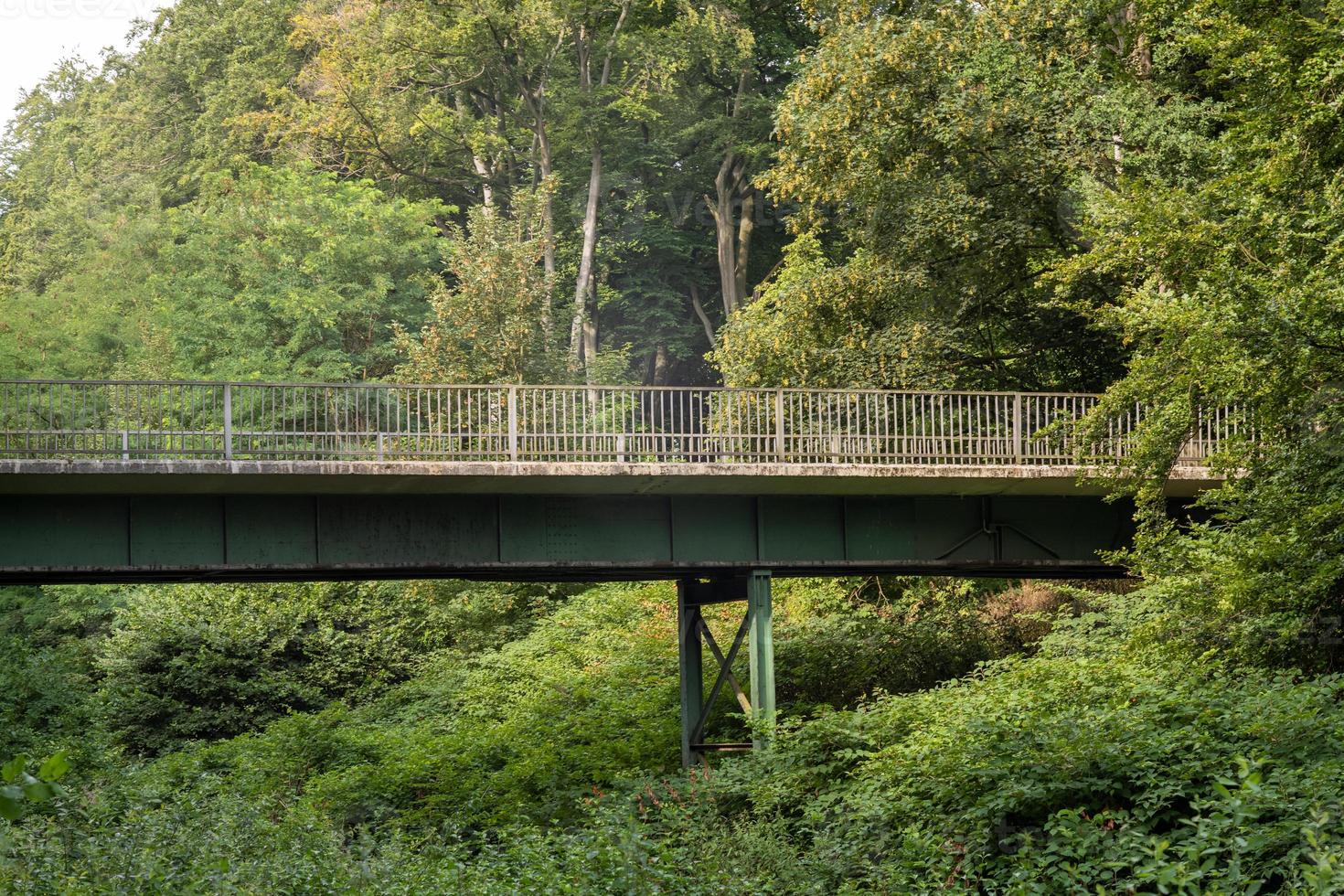 old bridge in the forest photo