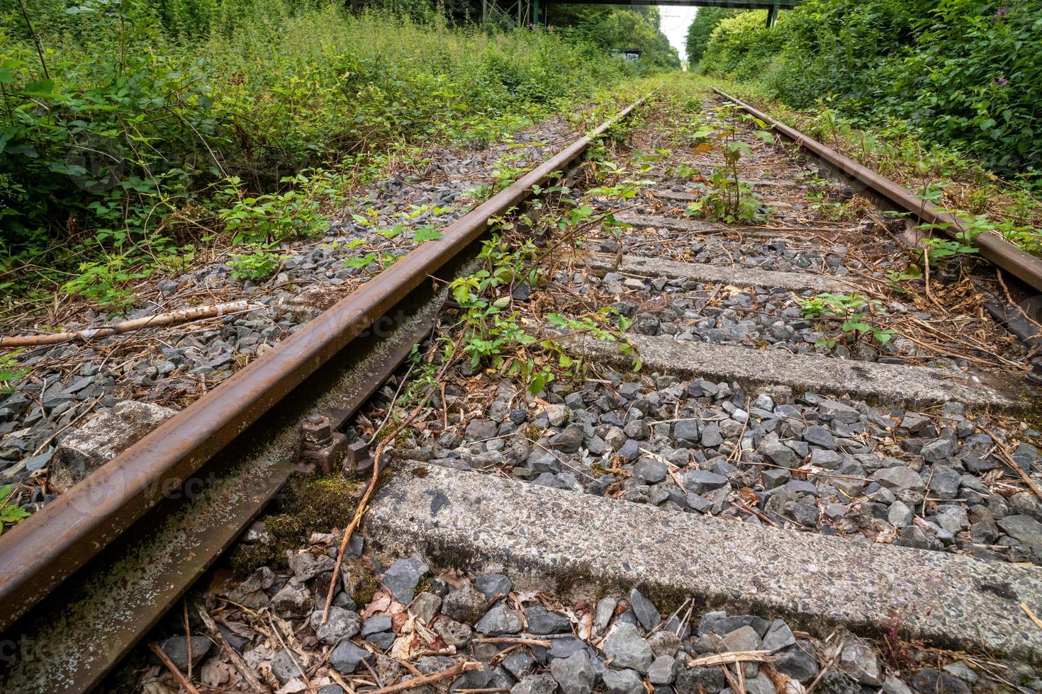 vías del tren en el campo foto