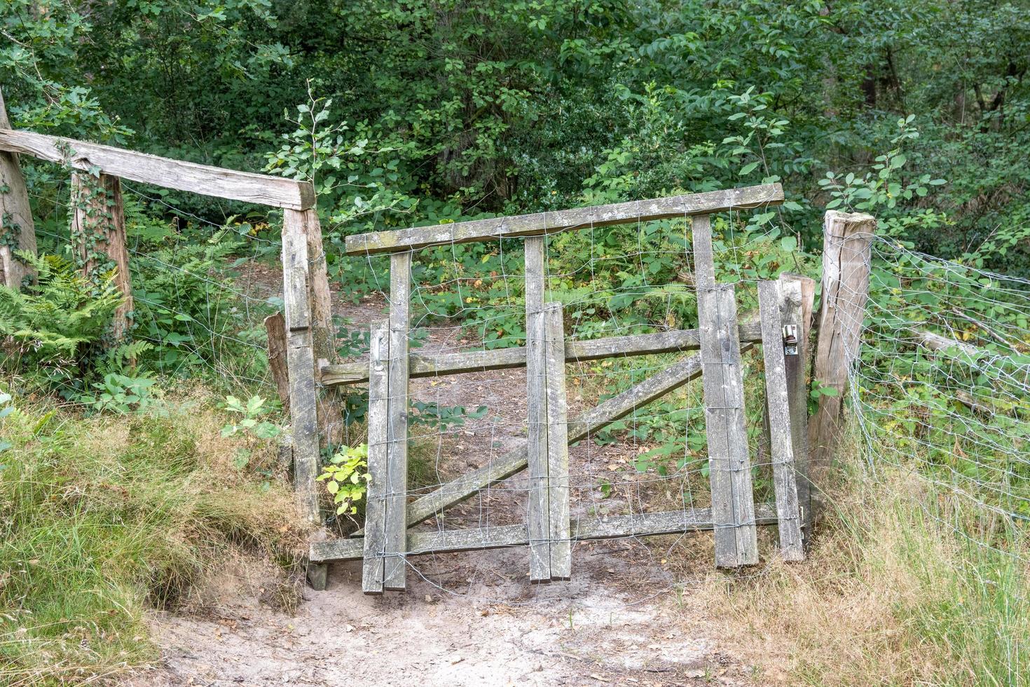 puerta de madera en un campo con valla foto