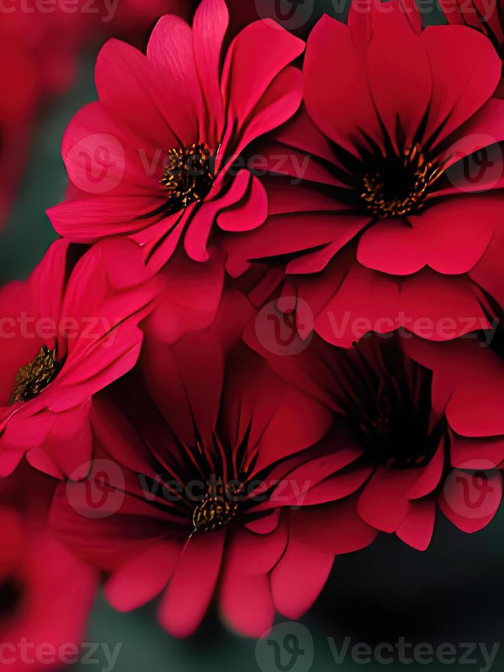 fondo oscuro con flores maravillosas 9813807 Foto de stock en Vecteezy fondo oscuro con flores maravillosas 9813807 Foto de stock en Vecteezy