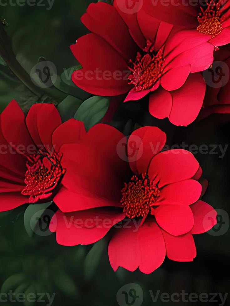 fondo oscuro con flores maravillosas 9813814 Foto de stock en Vecteezy fondo oscuro con flores maravillosas 9813814 Foto de stock en Vecteezy