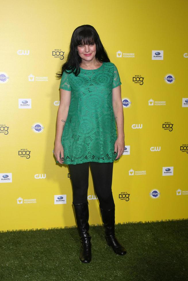 LOS ANGELES, JAN 10 - Pauley Perrette at the CW Network presents World Dog Awards at a Barker Hanger on January 10, 2015 in Santa Monica, CA photo