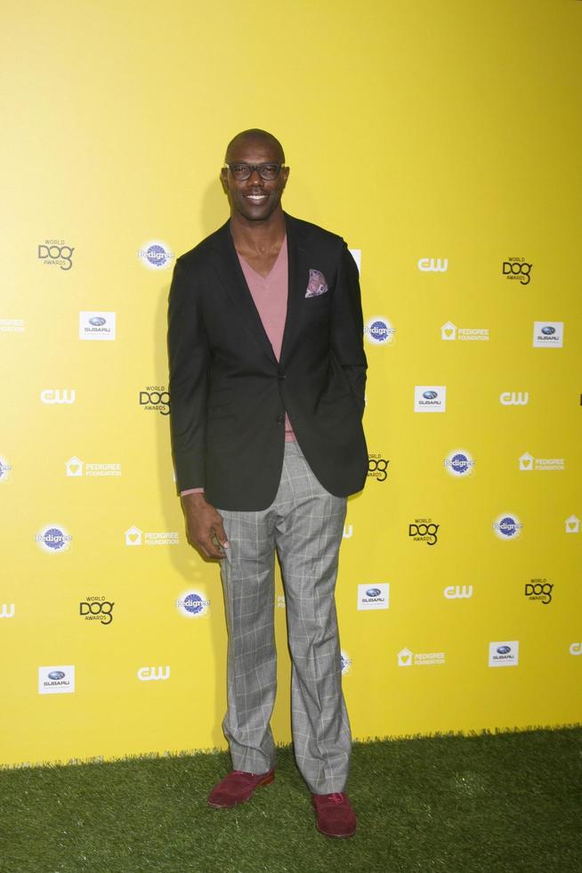 LOS ANGELES, JAN 10 - Terrell Owens at the CW Network presents World Dog Awards at a Barker Hanger on January 10, 2015 in Santa Monica, CA photo