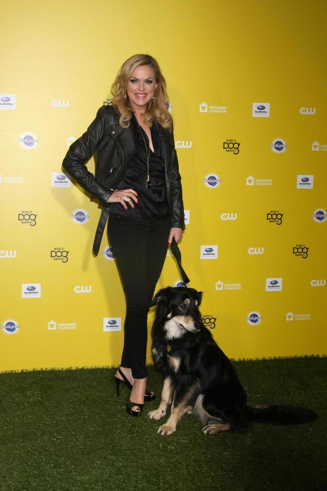 los angeles, 10 de enero - elaine hendrix, tiloc en cw network presenta los premios mundiales de perros en una percha barker el 10 de enero de 2015 en santa monica, ca foto