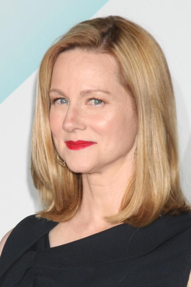 LOS ANGELES, JUN 16 - Laura Linney at the Women In Film 2015 Crystal Lucy Awards at the Century Plaza Hotel on June 16, 2015 in Century City, CA photo