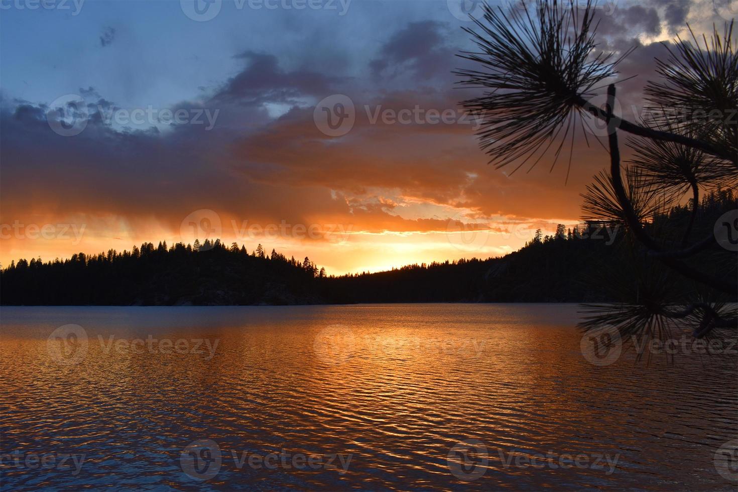 Pine Forest Lake Sunset photo