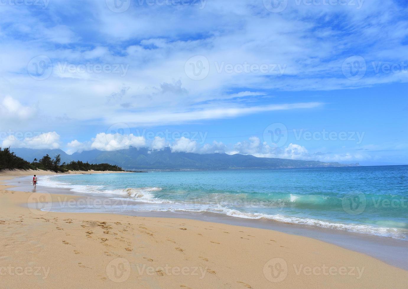 White Sandy Beach photo