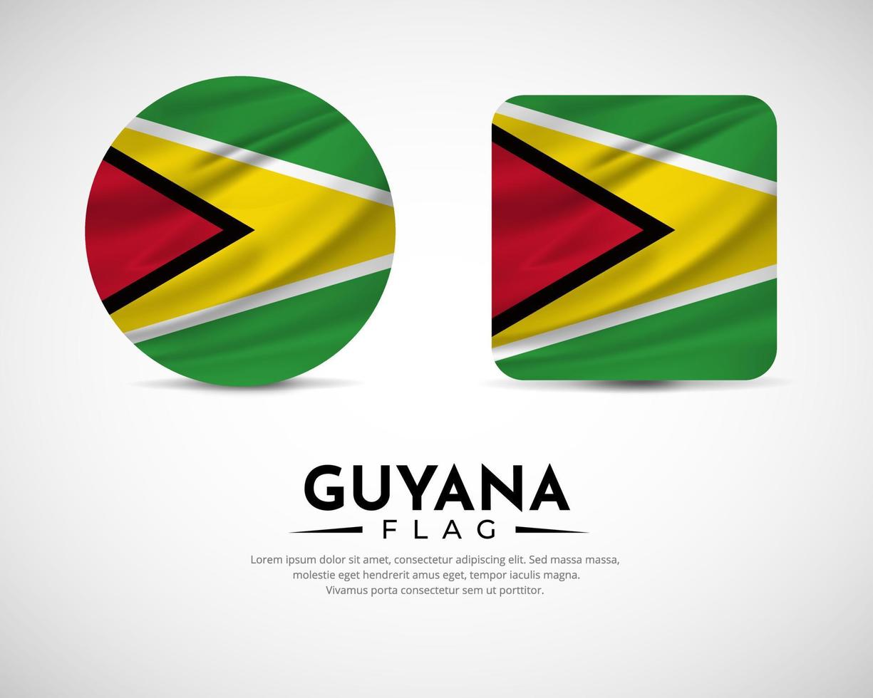 Collection of Guyana flag emblem icon. Guyana flag symbol icon vector. vector