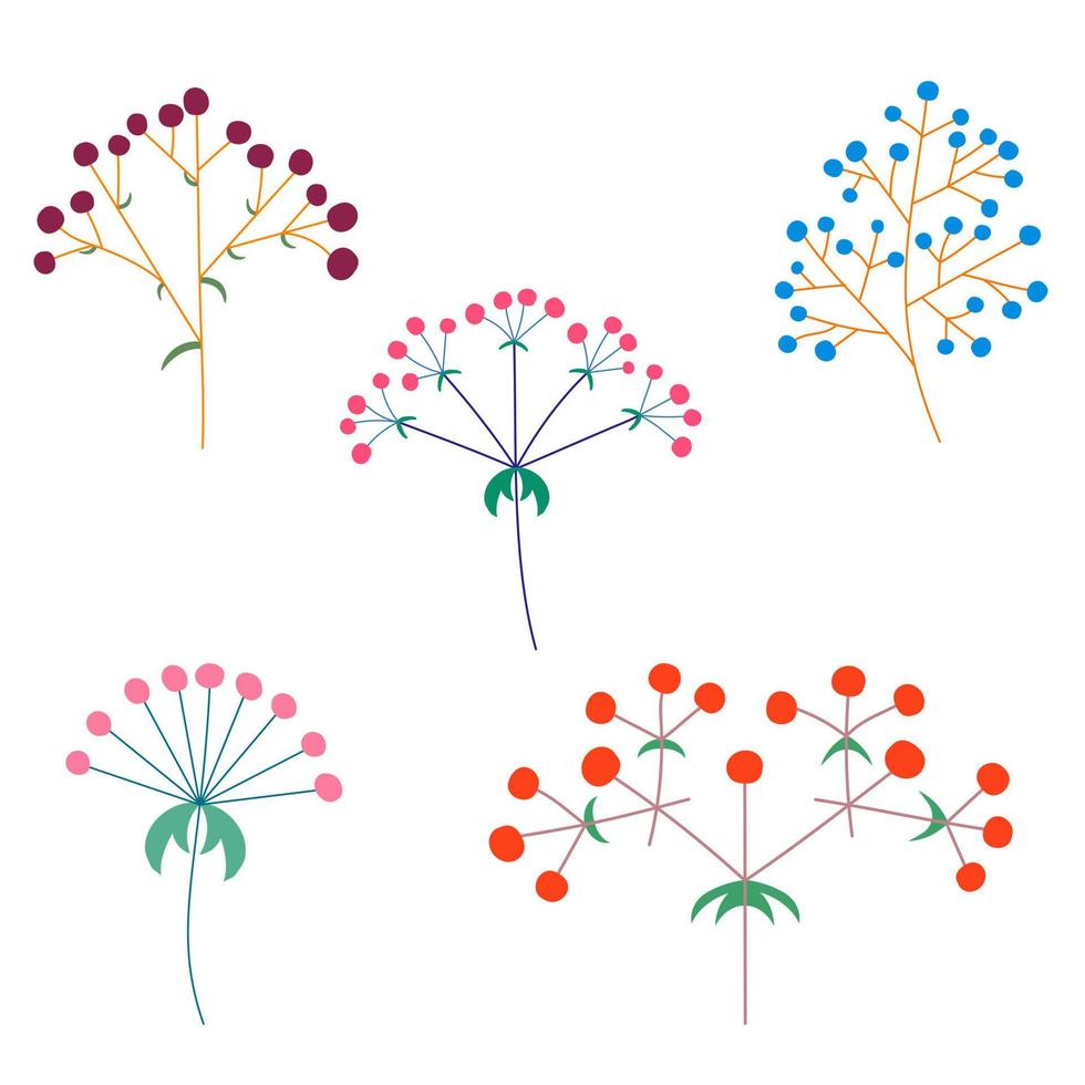 Vector set of flower inflorescences of plants on the stem. Flat style.