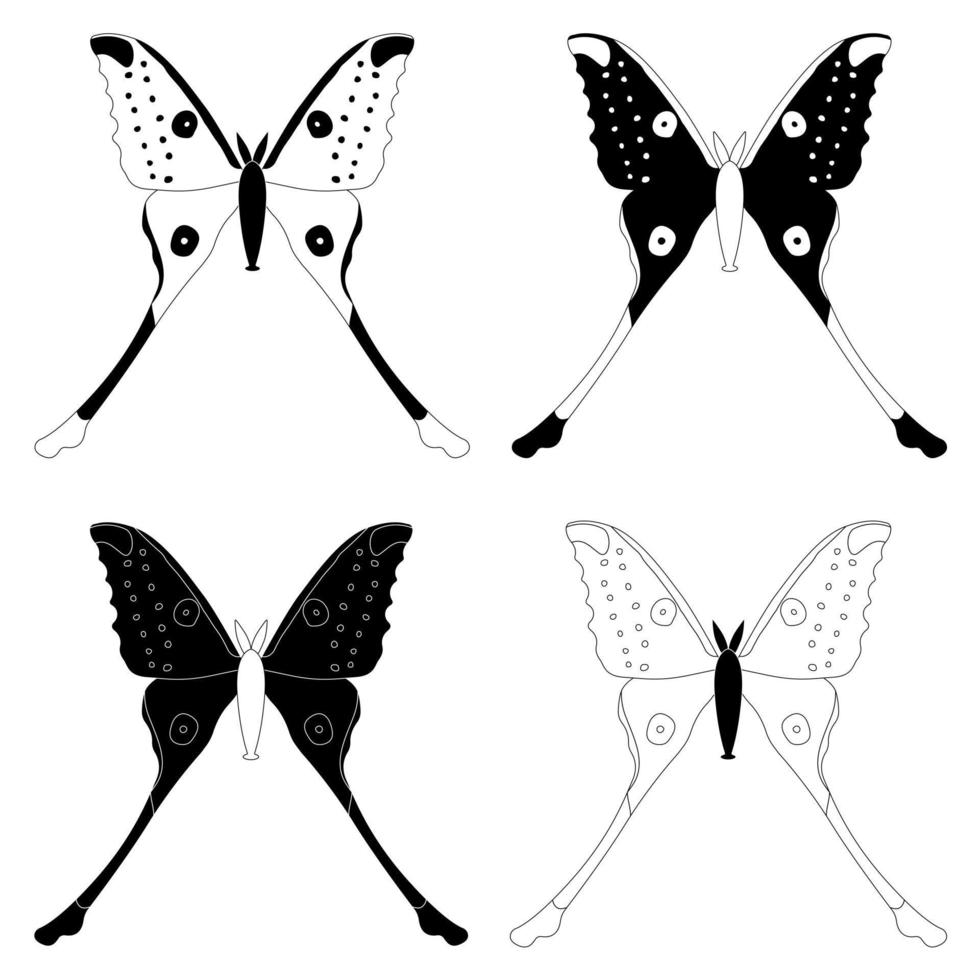 conjunto de especies, insectos mariposas en blanco y negro, estilo plano. vector