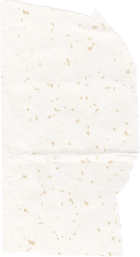 textura de papel branco rasgado png