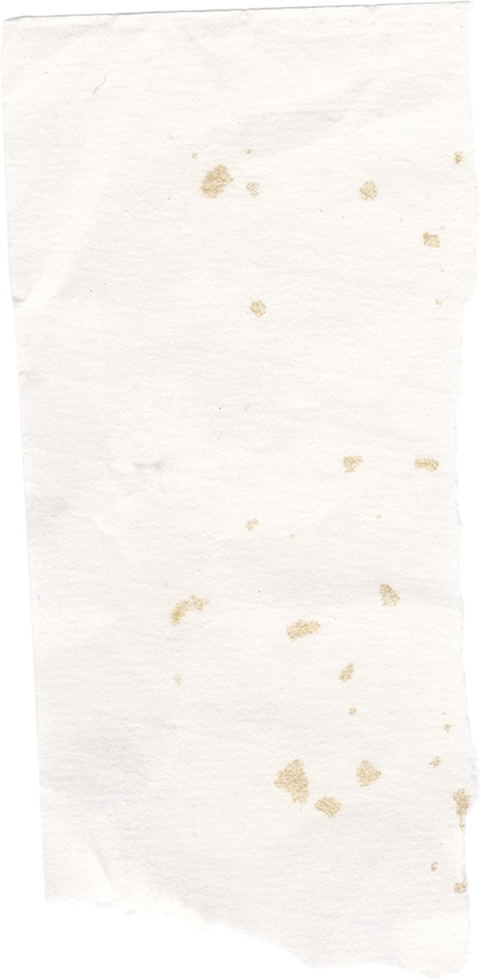 textura de papel branco rasgado png