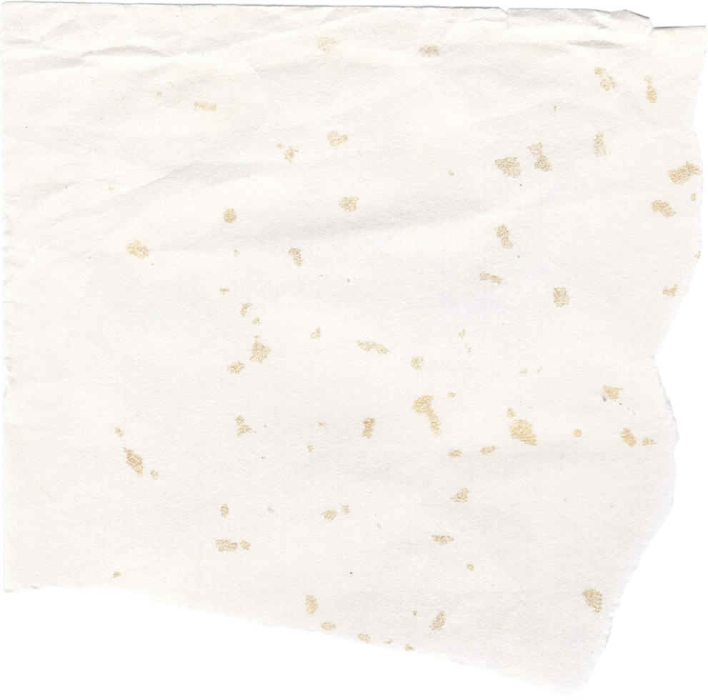 texture de papier blanc déchiré png