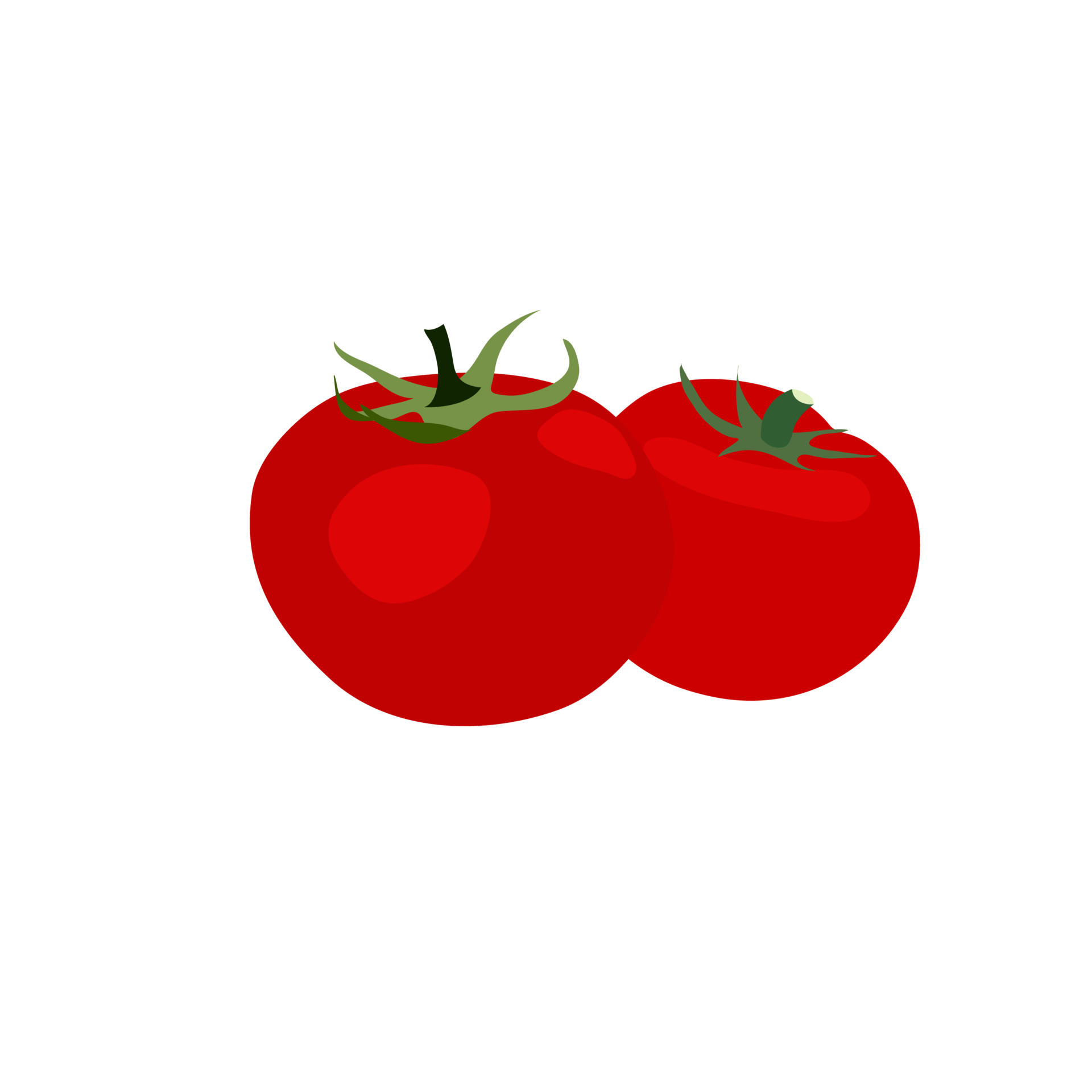 tomate rouge sur fond transparent 9827030 PNG