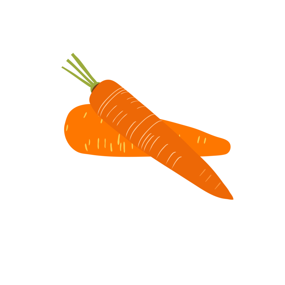 carrot on transparent background png