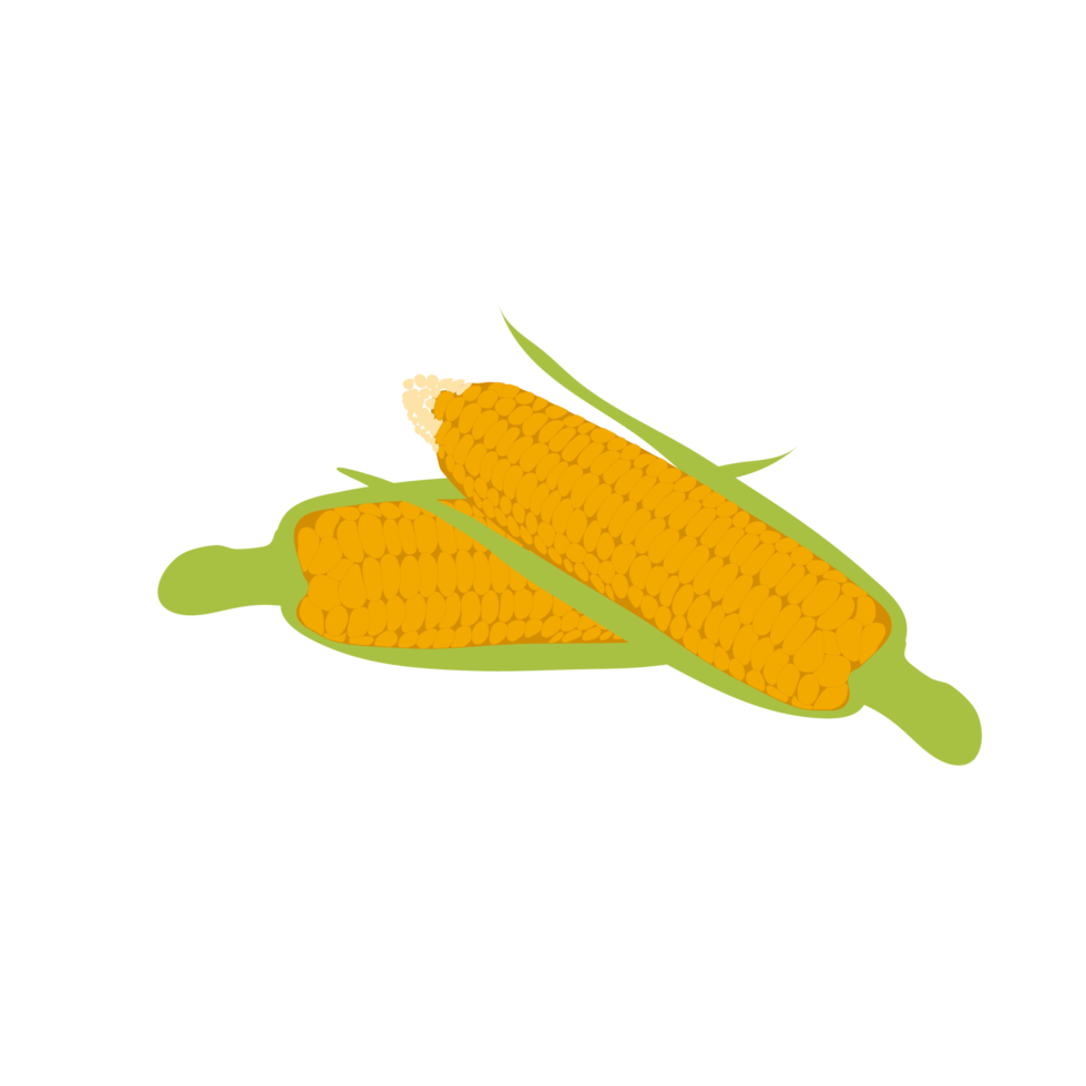 two sweet corn png