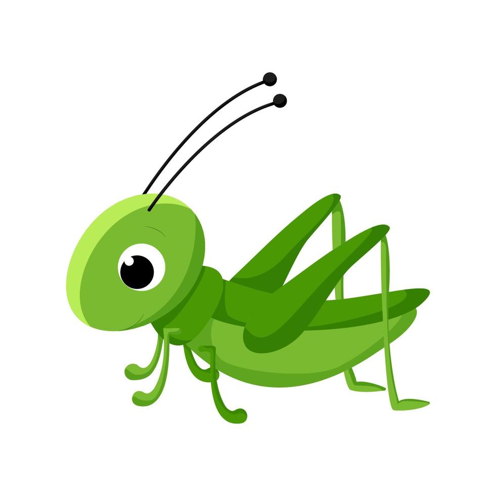 Cartoon grasshopper. Vector insect illustration isolated on white background.