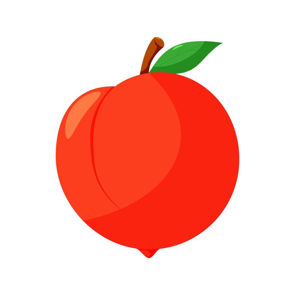 Cute cartoon vector juicy peach. Fresh cartoon peach isolated on white background.