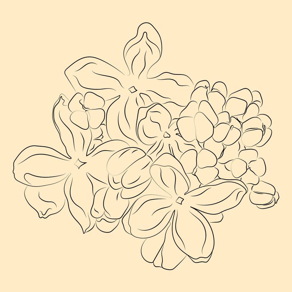 flor en estilo de arte lineal. conjunto de flores dibujo de contorno minimalista. obra de arte de línea vector