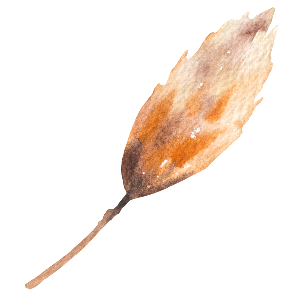 watercolor hay flowers png