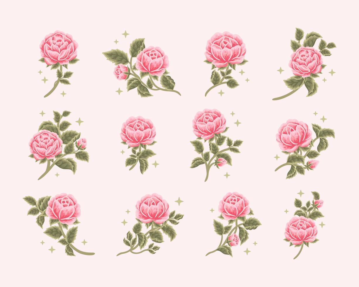 Collection of vintage romantic rose flower bud feminine logo, beauty label, branding elements vector