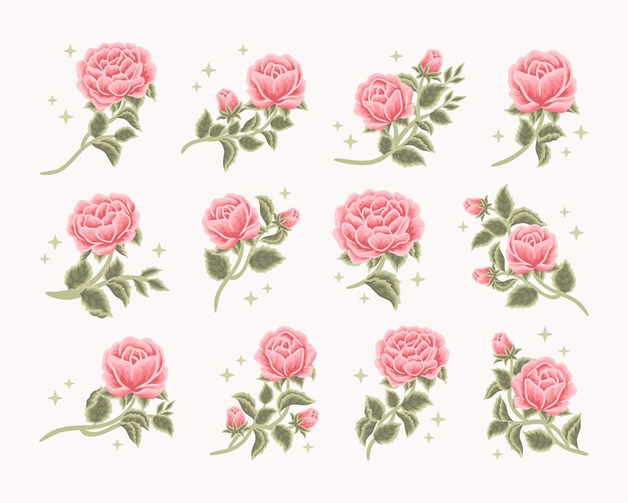 Collection of vintage romantic rose flower bud feminine logo, beauty label, branding elements vector