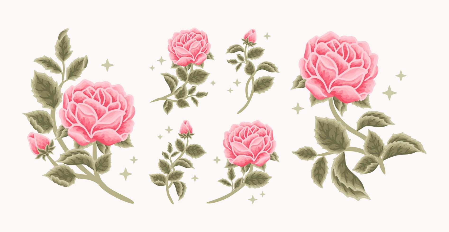 Collection of vintage romantic rose flower bud feminine logo, beauty label, branding elements vector