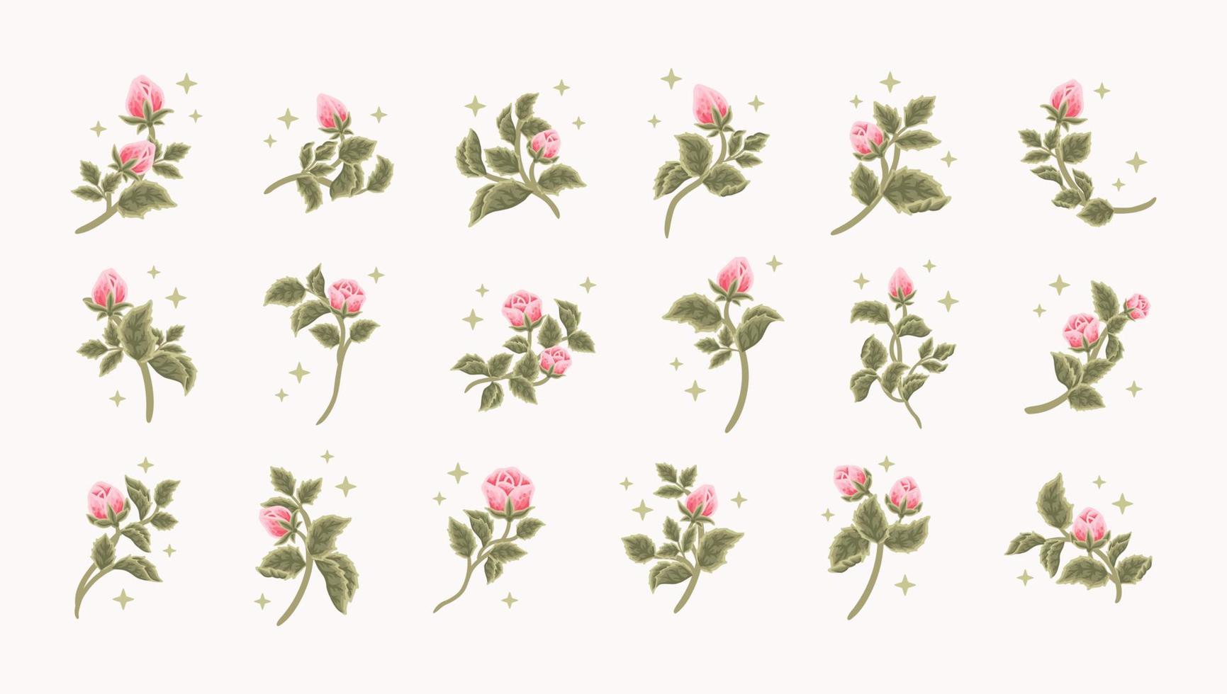 colección de logotipo femenino vintage romántico capullo de rosa, etiqueta de belleza, elementos de marca vector