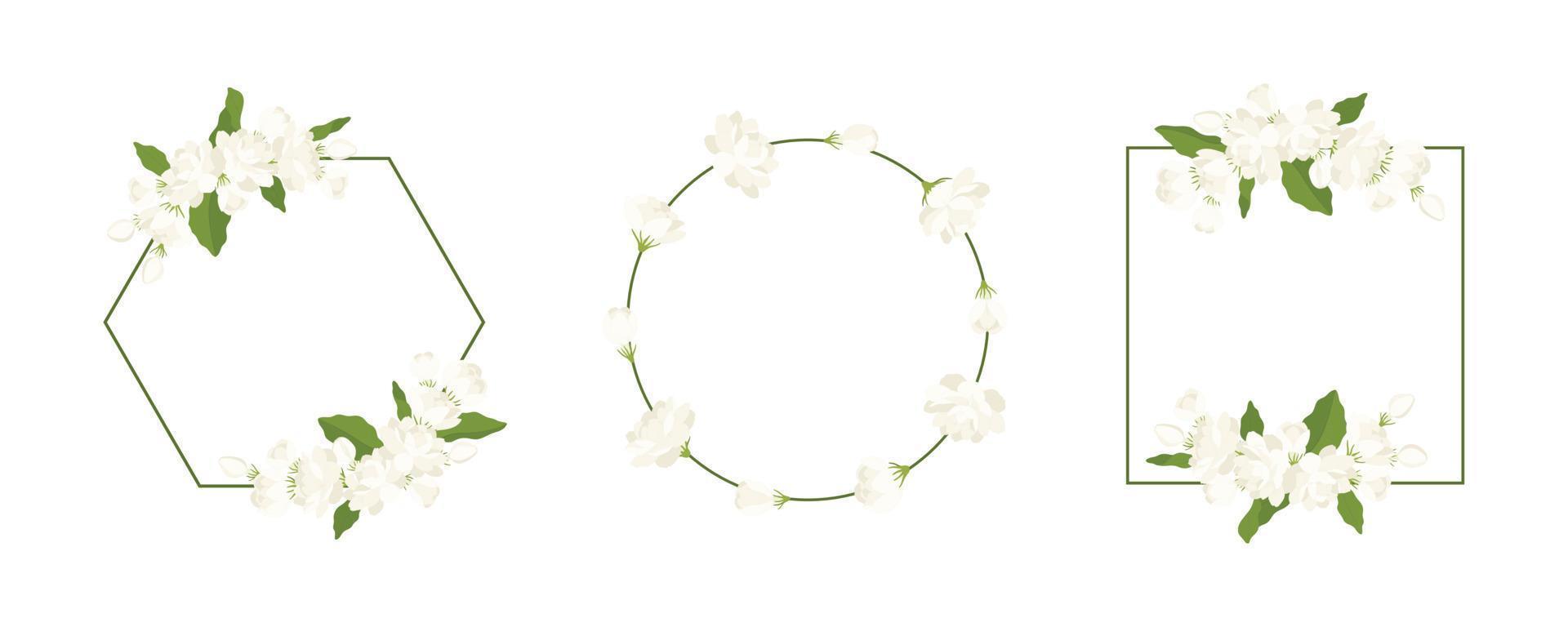 Collection of wreath jasmine flower hand drawn illustration. vector