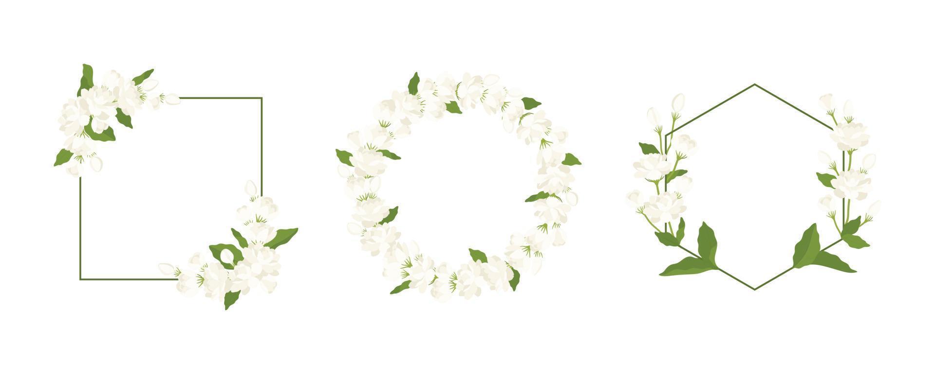 Collection of wreath jasmine flower hand drawn illustration. vector