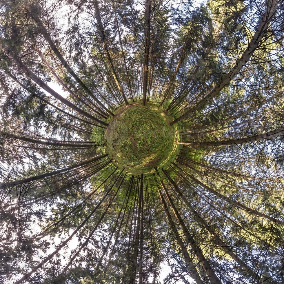 pequeño planeta transformación de panorama esférico 360 grados. vista aérea abstracta esférica en el bosque. curvatura del espacio. foto