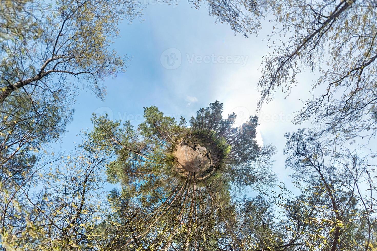 Little planet spherical panorama 360 degrees. Spherical aerial view in forest in nice day. Curvature of space photo