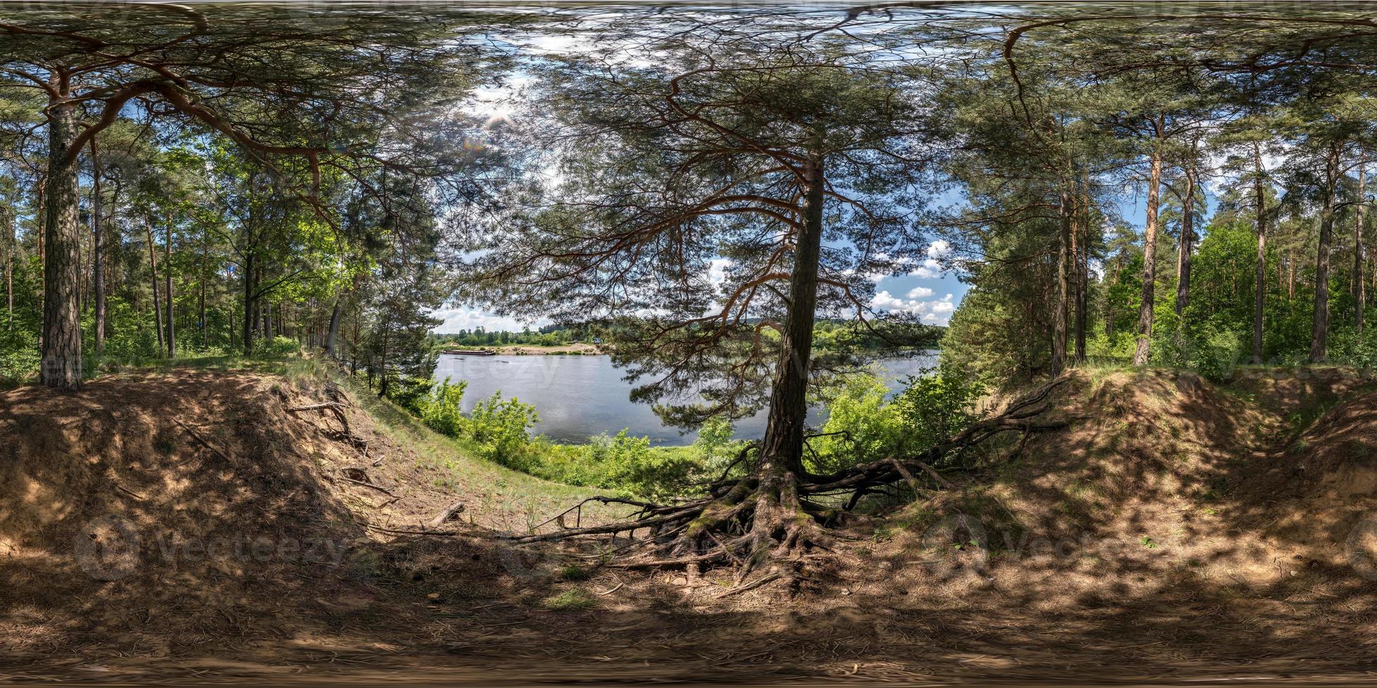 vista de ángulo de 360 grados de panorama hdri esférico completo en bosque de pinares con raíces de árboles torpes cerca del río en proyección equirectangular, contenido de realidad virtual listo vr ar foto