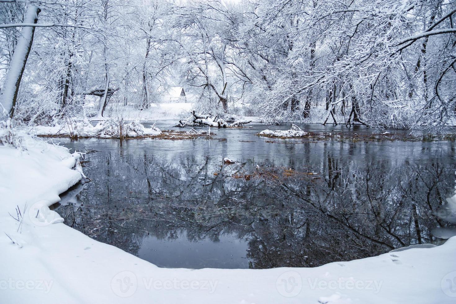 paisaje invernal junto al río. árboles cubiertos de nieve con escarcha. cuento de hadas de invierno foto