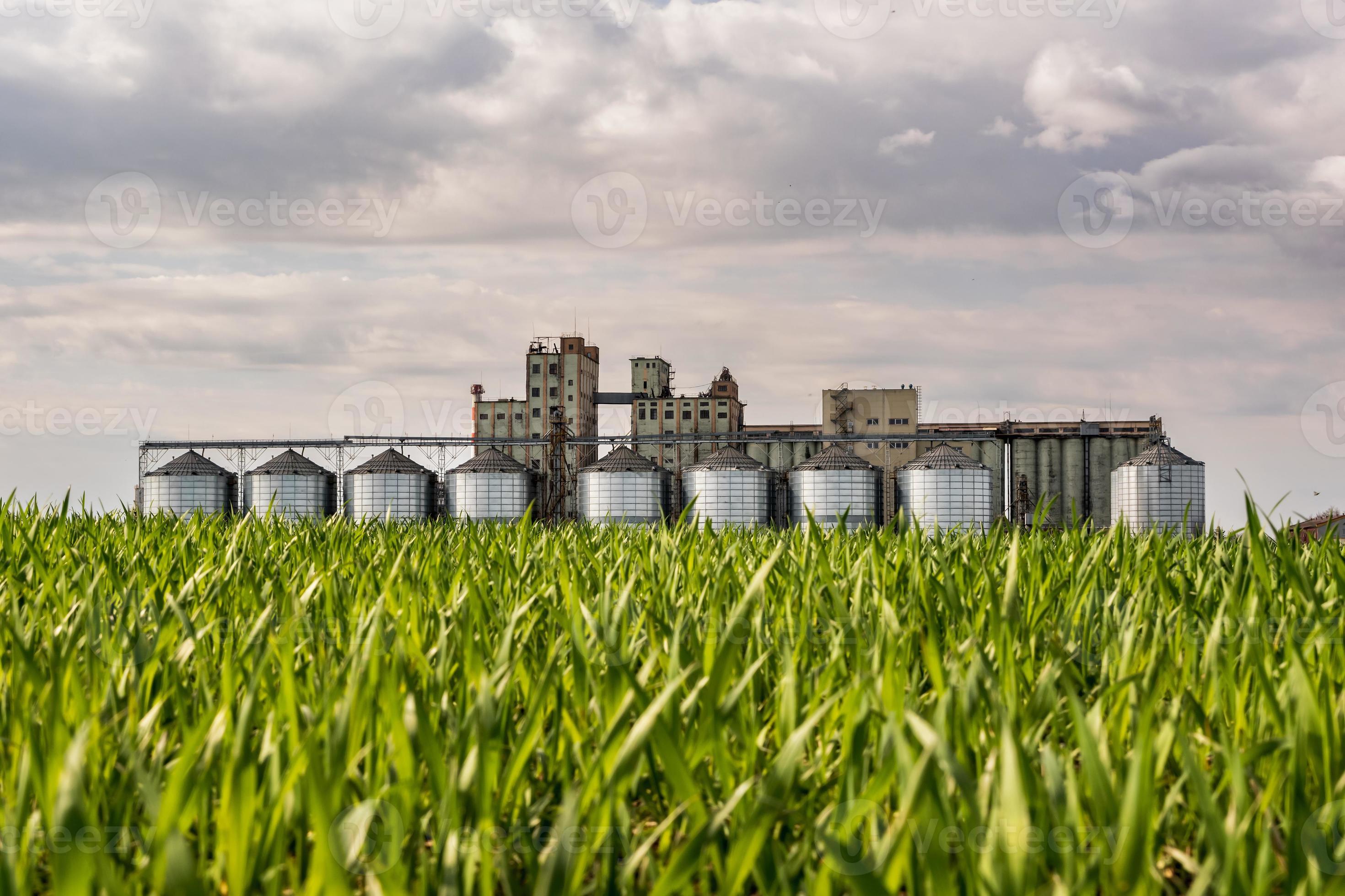 panorama view on agro silos granary elevator on agroprocessing