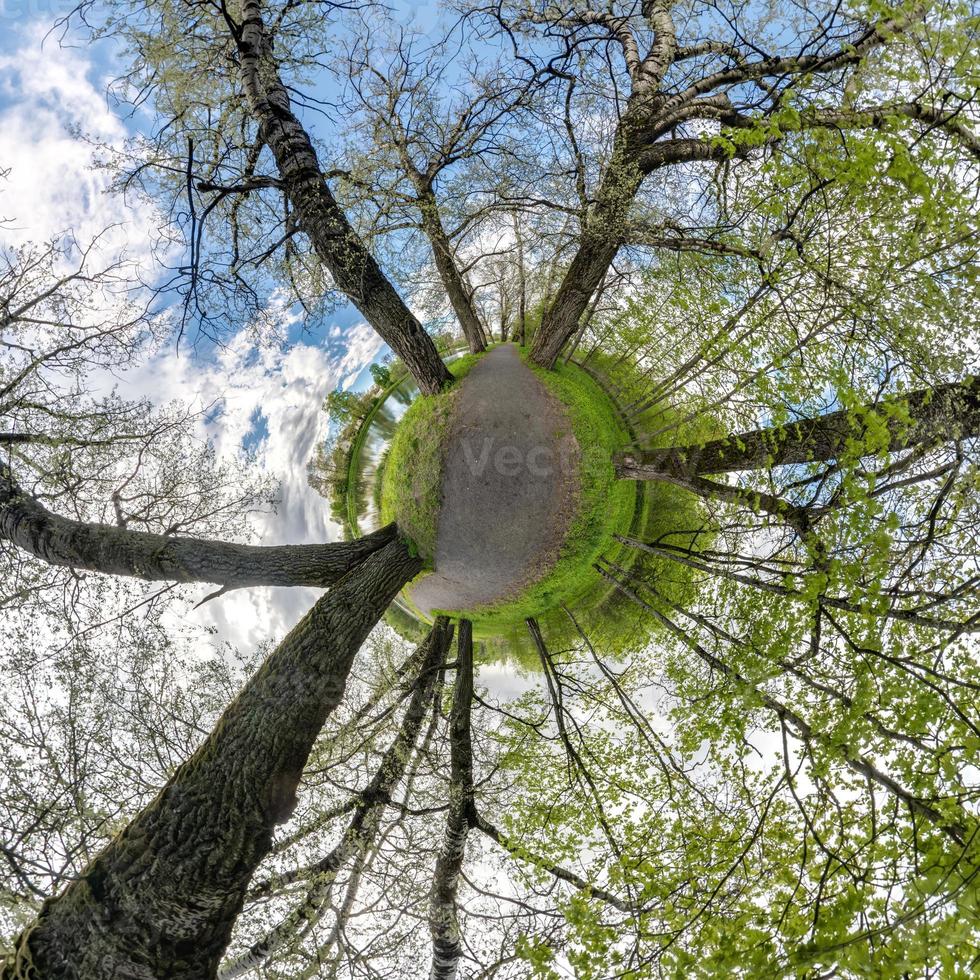 otoño diminuto planeta transformación de panorama esférico 360 grados. vista aérea abstracta esférica en el bosque con ramas torpes. curvatura del espacio. foto