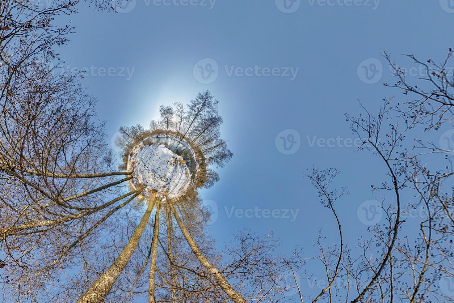 Little planet. Spherical aerial 360 panorama view in the winter forest in winter sunny day on blue background photo
