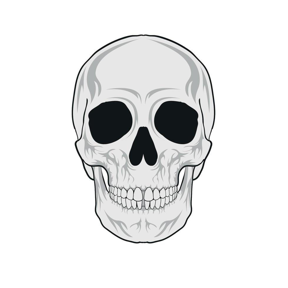 Skull Head Vector Illustration