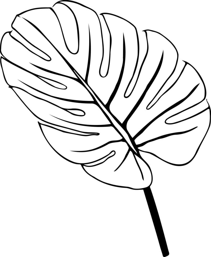 Monstera or palm leaf isolated leaf outline. Black sketch of a plant isolated on a white background. Vector illustration.