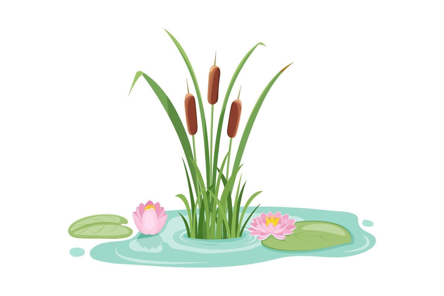 Pond with reeds and lotus. Design element with water lily and swamp vegetation. vector