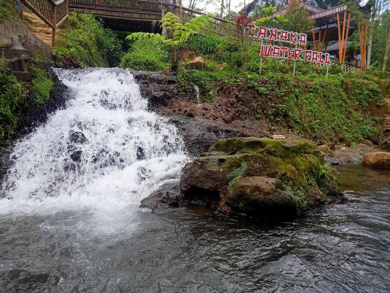 cascada naturaleza río espumoso en roca vista hermosa naturaleza foto