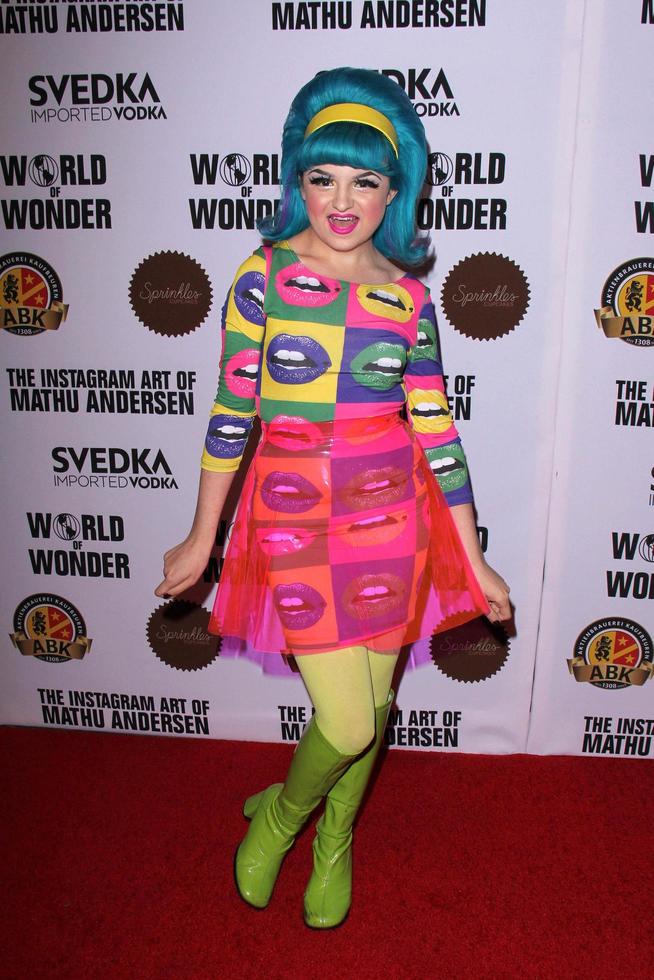 LOS ANGELES, NOV 13 -  Lacey Noel at the The Instagram Art of Mathu Andersen at the World of Wonder Gallery on November 13, 2014 in Los Angeles, CA photo