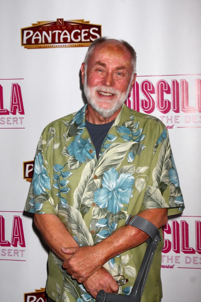 LOS ANGELES, MAY 29 - Robert David Hall arrives at the Priscilla Queen of the Desert Play Opening at the Pantages Theater on May 29, 2013 in Los Angeles, CA photo