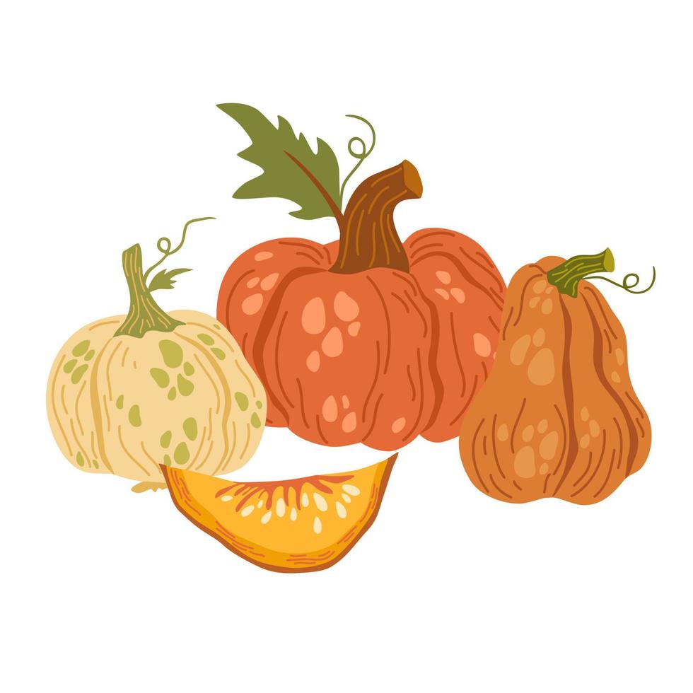 Pumpkins. Autumn composition with pumpkins. Fresh vegetables. Harvesting. Invitation to the Thanksgiving of the autumn season. Vector flat cartoon illustration isolated on the white background.