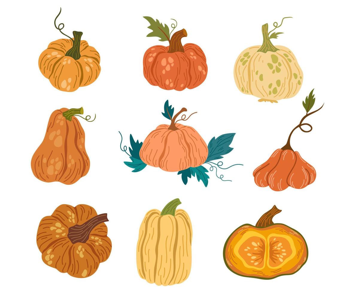 Pumpkins set. Pumpkin shapes with leaves, half with seeds and slices. Autumn, fall, thanksgiving and halloween decoration. Hand draw vector cartoon illustration