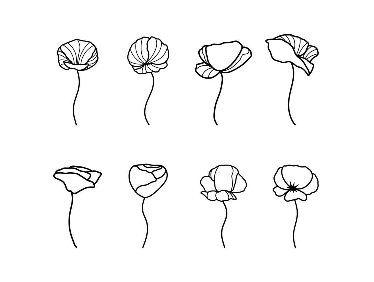 Set of Hand-drawn Popy Flower drawing vector