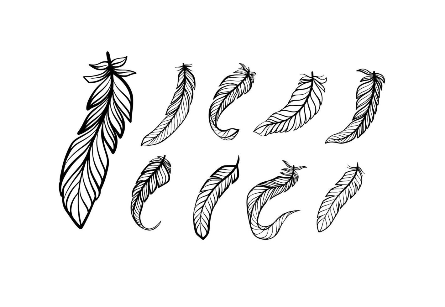 colección de diseño de plumas dibujadas a mano vector