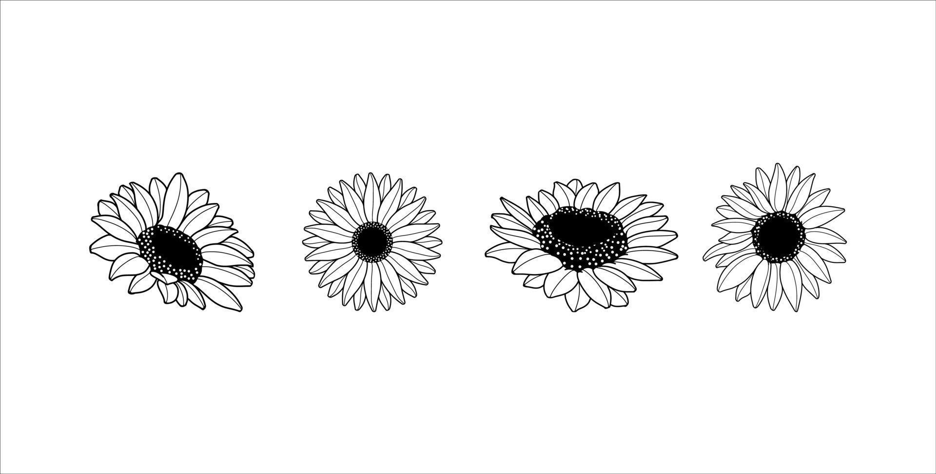 Hand-drawn Sunflower vector line art
